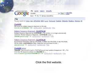 Click the first website. 