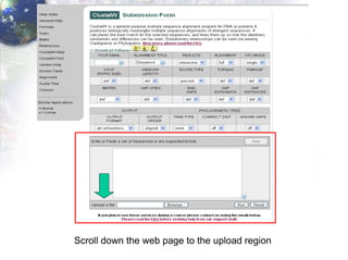 Scroll down the web page to the upload region 