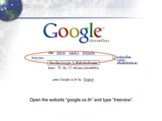 Open the website “google.co.th” and type “treeview”. 