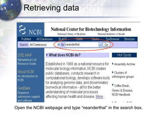 Open the NCBI webpage and type “neanderthal” in the search box. Retrieving data 