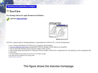 This figure shows the treeview homepage. 