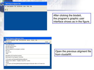 After clicking the biodeit,  the program’s graphic user interface shows as in the figure. Open the previous aligment file from clustalW. 
