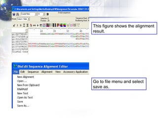 This figure shows the alignment  result . Go to file menu and select  save as. 