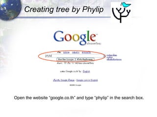Creating tree by Phylip Open the website “google.co.th” and type “phylip” in the search box. 
