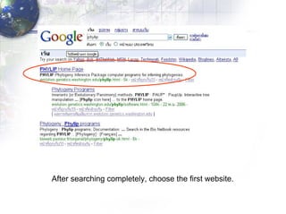 After searching completely, choose the first website. 