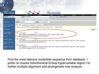 Find the most relevant nucleotide sequence from database. I  prefer to ch oose mitochondrial D-loop hypervariable region I to  further multiple alignment and phylogenetic tree analysis. 