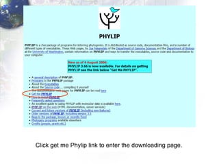 Click get me Phylip link to enter the downloading page. 