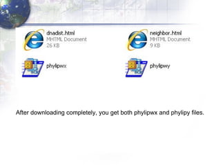 After downloading completely, you get both phylipwx and phylipy files. 