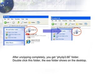 After unzipping completely, you get “phylip3.66” folder. Double click this folder, the exe folder shows on the desktop. 