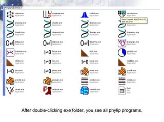 After double-clicking exe folder, you see all phylip programs. 