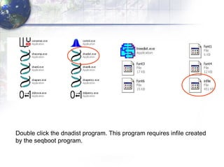 Double click the dnadist program. This program requires infile created  by the seqboot program. 