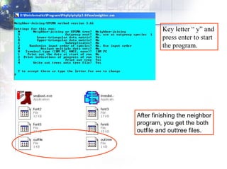 Key letter “ y” and  press enter to start  the program. After finishing the neighbor program, you get the both outfile and outtree files . 