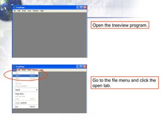 Open the treeview program. Go to the file menu and click the  open tab. 