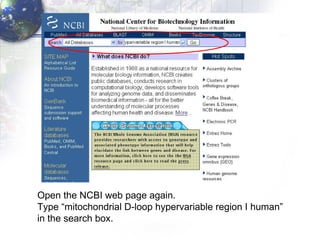 Open the NCBI web page again. Type “mitochondrial D-loop hypervariable region I human”  in the search box. 