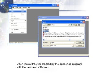 Open the outtree file created by the consense program with the treeview software.  