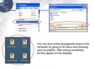 You can save entire phylogenetic trees to the  computer by going to fie menu and choosing  save as graphic.  After saving completely,  all files appear on the desktop.  