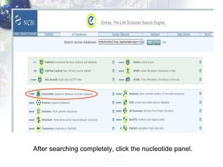 After searching completely, click the nucleotide panel. 
