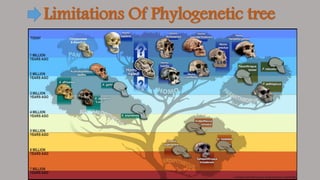 Limitations Of Phylogenetic tree
 