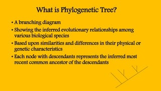 What is Phylogenetic Tree?
• A branching diagram
• Showing the inferred evolutionary relationships among
various biological species
• Based upon similarities and differences in their physical or
genetic characteristics
• Each node with descendants represents the inferred most
recent common ancestor of the descendants
 