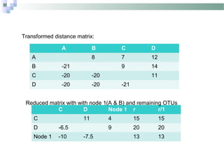Transformed distance matrix:
A B C D
A 8 7 12
B -21 9 14
C -20 -20 11
D -20 -20 -21
C D Node 1 r r/1
C 11 4 15 15
D -6.5 9 20 20
Node 1 -10 -7.5 13 13
Reduced matrix with with node 1(A & B) and remaining OTUs
 