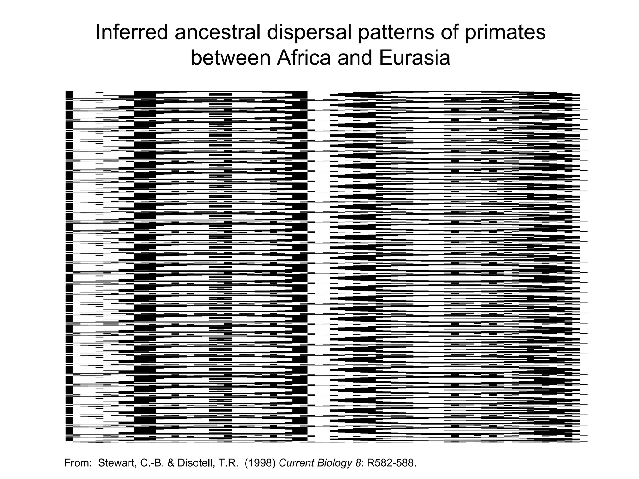 Inferred ancestral dispersal patterns of primates between Africa and Eurasia From:  Stewart, C.-B. & Disotell, T.R.  (1998)  Current Biology 8 : R582-588. 