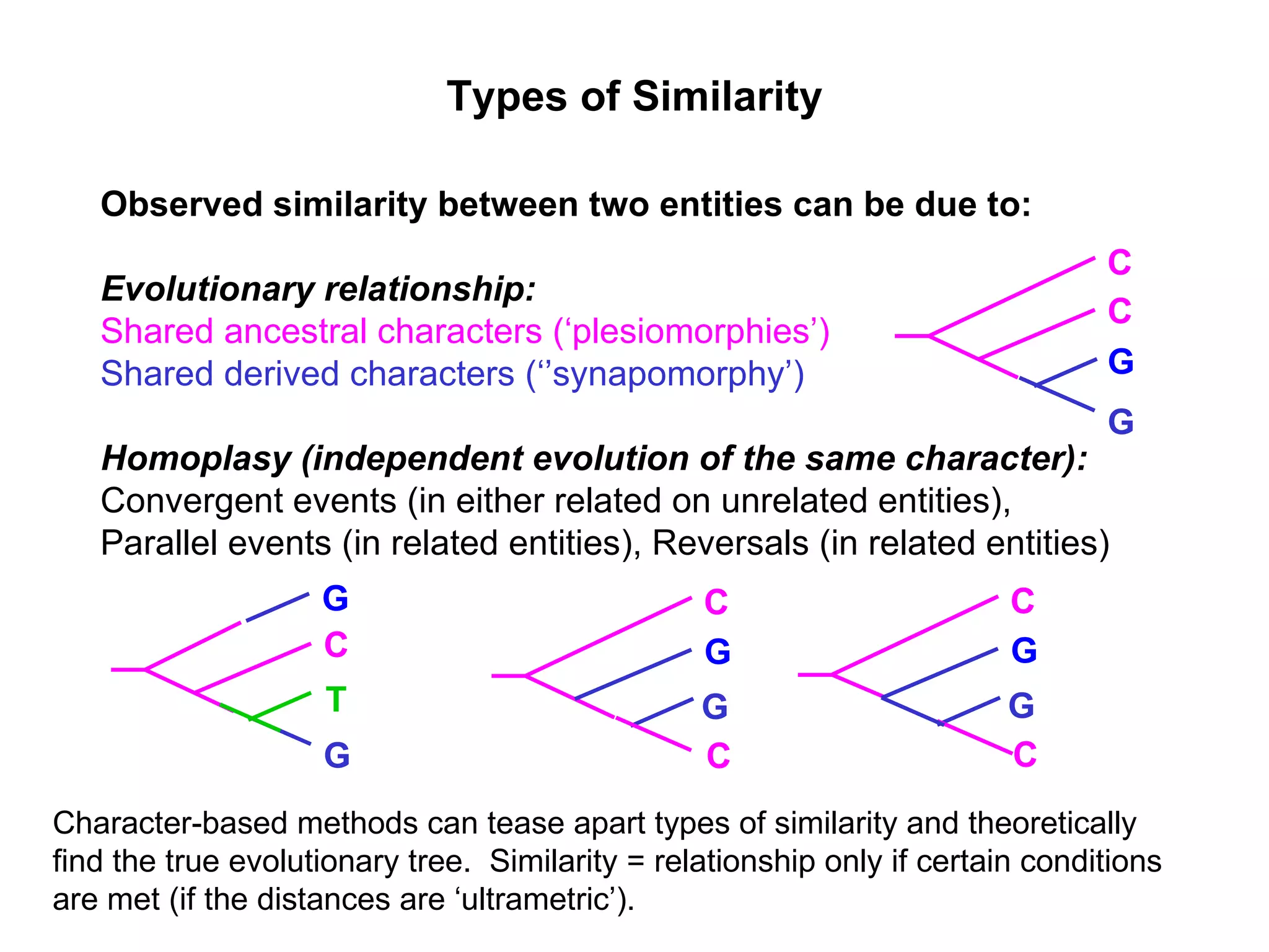 Character-based methods can tease apart types of similarity and theoretically find the true evolutionary tree.  Similarity = relationship only if certain conditions are met (if the distances are ‘ultrametric’).  Types of Similarity Observed similarity between two entities can be due to: Evolutionary relationship: Shared ancestral characters (‘plesiomorphies’) Shared derived characters (‘’synapomorphy’) Homoplasy (independent evolution of the same character): Convergent events (in either related on unrelated entities), Parallel events (in related entities), Reversals (in related entities)  C G G C C G G T C C G G C C G G 