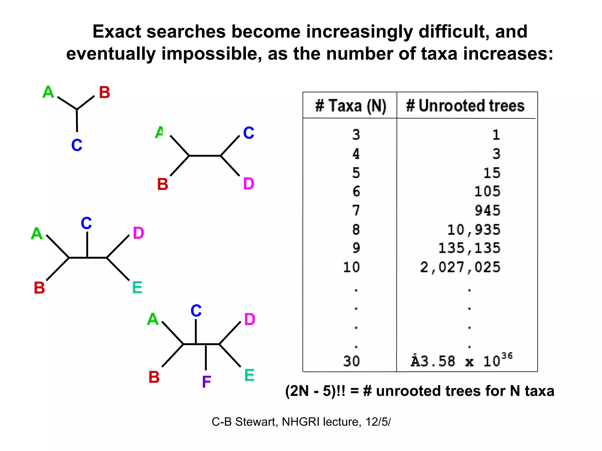 Exact searches become increasingly difficult, and eventually impossible, as the number of taxa increases: (2N - 5)!! = # unrooted trees for N taxa A D B E C C A B D A B C A D B E C F 