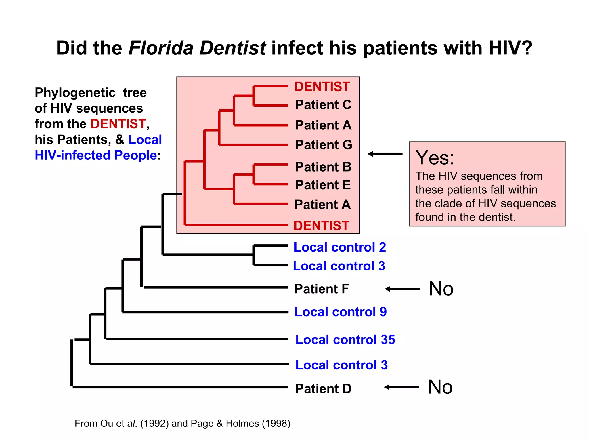 Did the  Florida Dentist  infect his patients with HIV? DENTIST DENTIST Patient D Patient F Patient C Patient A Patient G Patient B Patient E Patient A Local control 2 Local control 3 Local control 9 Local control 35 Local control 3 Yes: The HIV sequences from these patients fall within the clade of HIV sequences found in the dentist. From Ou et  al . (1992) and Page & Holmes (1998) Phylogenetic  tree of HIV sequences from the  DENTIST , his Patients, &  Local HIV-infected People : No No 