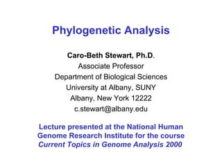 Phylogenetic Analysis Caro-Beth Stewart, Ph.D . Associate Professor Department of Biological Sciences University at Albany, SUNY Albany, New York 12222 [email_address] Lecture presented at the National Human Genome Research Institute for the course  Current Topics in Genome Analysis 2000   