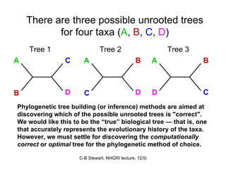 There are three possible unrooted trees for four taxa ( A ,  B ,  C ,  D ) Phylogenetic tree building (or inference) methods are aimed at discovering which of the possible unrooted trees is "correct". We would like this to be the “true” biological tree — that is, one that accurately represents the evolutionary history of the taxa. However, we must settle for discovering the  computationally correct  or  optimal  tree for the phylogenetic method of choice.  A C B D Tree 1 A B C D Tree 2 A B D C Tree 3 