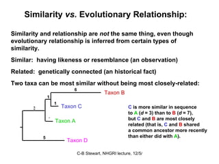 Similarity  vs.  Evolutionary Relationship:  Similarity and relationship are  not  the same thing, even though evolutionary relationship is inferred from certain types of similarity. Similar:  having likeness or resemblance (an observation)  Related:  genetically connected (an historical fact)  Two taxa can be most similar without being most closely-related: Taxon A Taxon B Taxon C Taxon D 1 1 1 6 3 5 C  is more similar in sequence  to  A  ( d  = 3) than to  B  ( d  = 7), but  C  and  B  are most closely related (that is,  C  and  B  shared a common ancestor more recently than either did with  A ).  