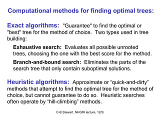 Exact algorithms:   "Guarantee" to find the optimal or "best" tree for the method of choice.  Two types used in tree building:  Exhaustive search:   Evaluates all possible unrooted  trees, choosing the one with the best score for the method. Branch-and-bound search:  Eliminates the parts of the search tree that only contain suboptimal solutions.  Heuristic algorithms:  Approximate or “quick-and-dirty” methods that attempt to find the optimal tree for the method of choice, but cannot guarantee to do so.  Heuristic searches often operate by “hill-climbing” methods.  Computational methods for finding optimal trees: 