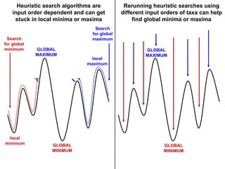 Heuristic search algorithms are input order dependent and can get stuck in local minima or maxima Rerunning heuristic searches using different input orders of taxa can help find global minima or maxima Search for global minimum GLOBAL MAXIMUM GLOBAL MINIMUM local minimum local maximum Search for global maximum GLOBAL MAXIMUM GLOBAL MINIMUM 