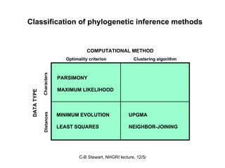 COMPUTATIONAL METHOD Clustering algorithm Optimality criterion DATA TYPE Characters Distances PARSIMONY MAXIMUM LIKELIHOOD UPGMA NEIGHBOR-JOINING MINIMUM EVOLUTION LEAST SQUARES Classification of phylogenetic inference methods 