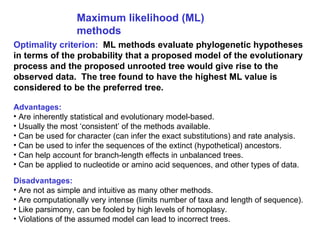 Maximum likelihood (ML) methods Optimality criterion:   ML methods evaluate phylogenetic hypotheses in terms of the probability that a proposed model of the evolutionary process and the proposed unrooted tree would give rise to the observed data.  The tree found to have the highest ML value is considered to be the preferred tree.   Advantages: Are inherently statistical and evolutionary model-based. Usually the most ‘consistent’ of the methods available. Can be used for character (can infer the exact substitutions) and rate analysis. Can be used to infer the sequences of the extinct (hypothetical) ancestors. Can help account for branch-length effects in unbalanced trees. Can be applied to nucleotide or amino acid sequences, and other types of data. Disadvantages: Are not as simple and intuitive as many other methods. Are computationally very intense (Iimits number of taxa and length of sequence). Like parsimony, can be fooled by high levels of homoplasy. Violations of the assumed model can lead to incorrect trees. 