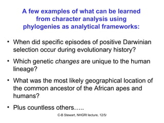 A few examples of what can be learned from character analysis using phylogenies as analytical frameworks: When did specific episodes of positive Darwinian selection occur during evolutionary history? Which genetic  changes  are unique to the human lineage? What was the most likely geographical location of the common ancestor of the African apes and humans? Plus countless others….. 