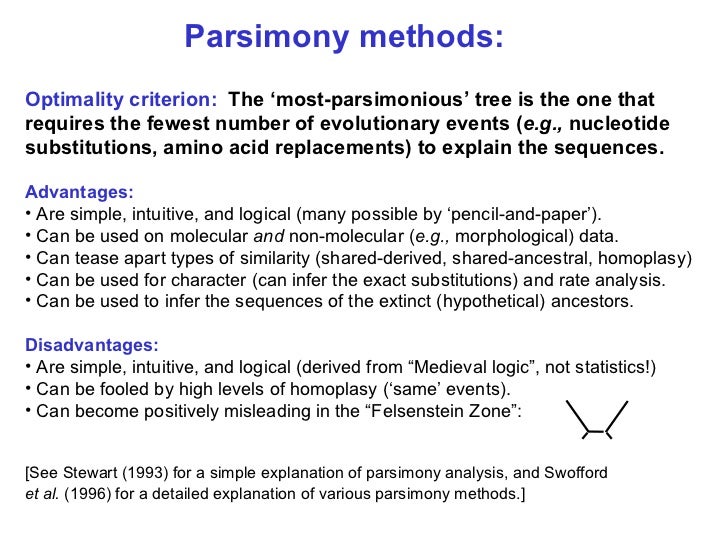 phylogenetic analysis