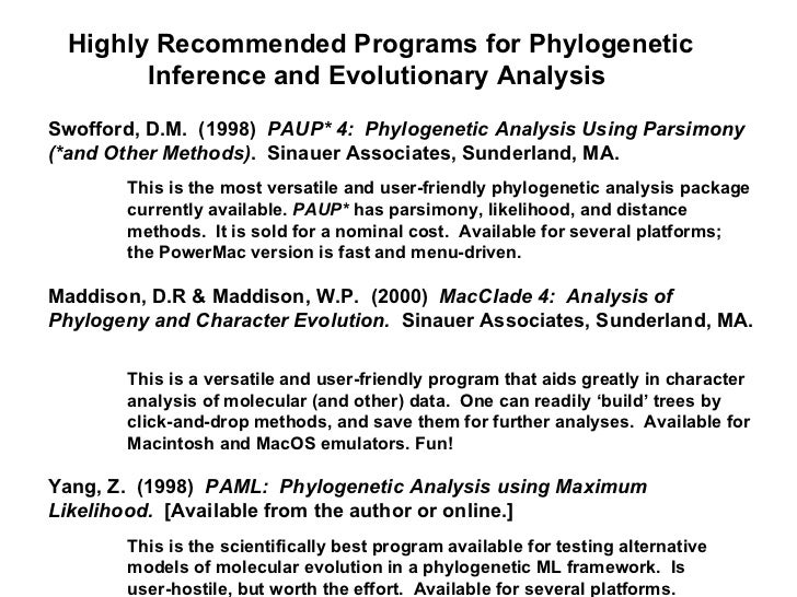 phylogenetic analysis