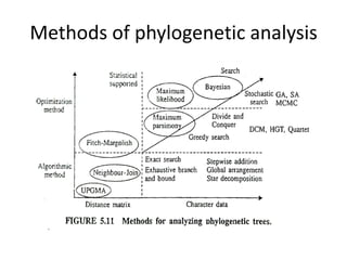 Methods of phylogenetic analysis
 