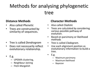 Methods for analysing phylogenetic
tree
Distance Methods
• Also called Phenetic
• Trees are constructed by
similarity of sequences.
• Tree is called Dendrogram
• Does not necessarily reflect
evolutionary relationship.
• E.g.
– UPGMA clustering,
– Neighbour Joining
– Fitch-Margolish
Character Methods
• Also called Cladistic
• Trees are calculated by considering
various possible pathway of
evolution.
• Based on parsimony or likelihood
methods
• Tree is called Cladogram.
• Use each alignment position as
evolutionary information to build a
tree.
• E.g.
– Maximum parsimony
– Maximum likelihood
– Bayesian
 