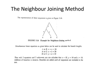 The Neighbour Joining Method
 