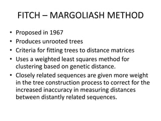 FITCH – MARGOLIASH METHOD
• Proposed in 1967
• Produces unrooted trees
• Criteria for fitting trees to distance matrices
• Uses a weighted least squares method for
clustering based on genetic distance.
• Closely related sequences are given more weight
in the tree construction process to correct for the
increased inaccuracy in measuring distances
between distantly related sequences.
 