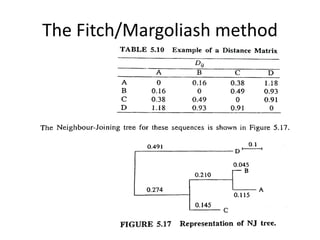 The Fitch/Margoliash method
 
