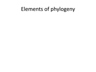 Elements of phylogeny
 