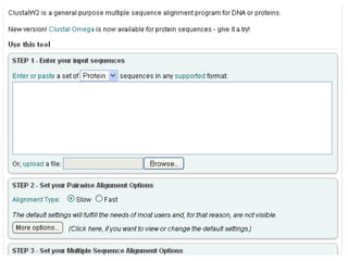 Phylogenetic analysis 