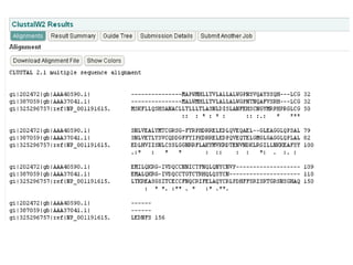 Phylogenetic analysis 