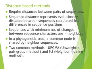 PHYLOGENETIC ANALYSIS_CSS2.pptx