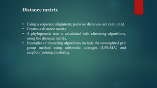 Phylogenetic data analysis | PPTX