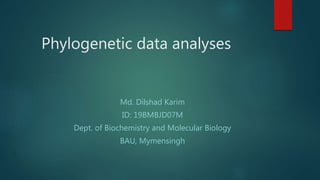 Phylogenetic data analyses
Md. Dilshad Karim
ID: 19BMBJD07M
Dept. of Biochemistry and Molecular Biology
BAU, Mymensingh
 