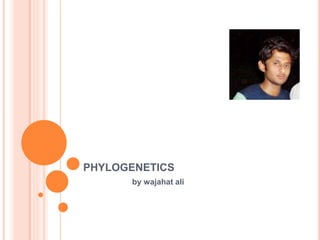 PHYLOGENETICS
by wajahat ali
 